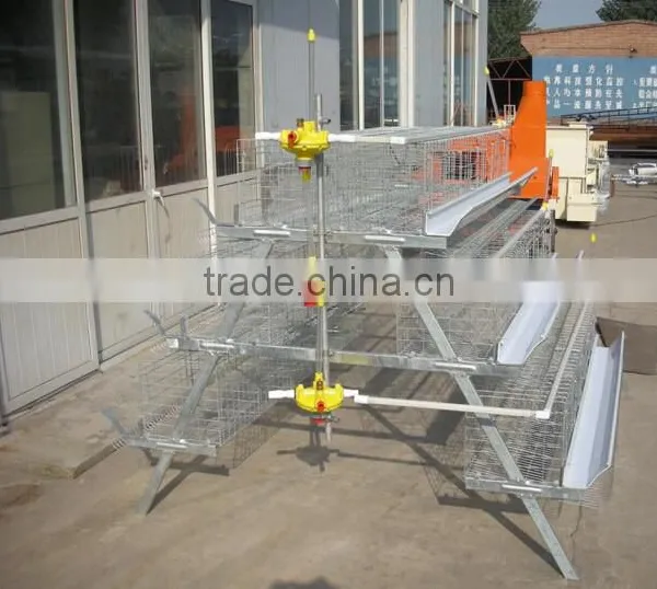 Anping Factory Chicken Egg Laying Cage for Farm photo-3