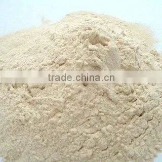 Wheat Gluten Powder