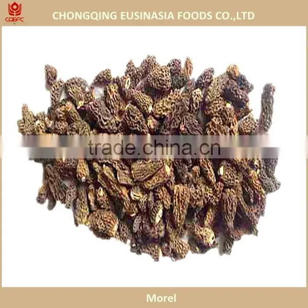Mushroom & Truffles Supplier