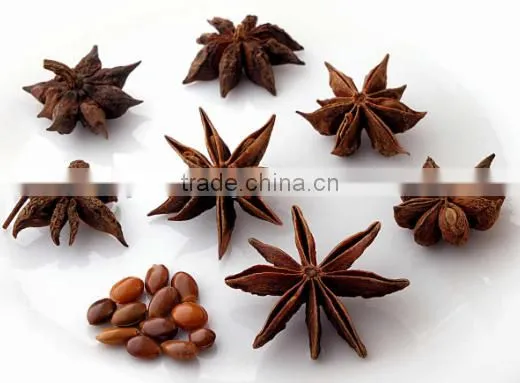 MANUFACTURER OF SPRING STAR ANISE photo-6