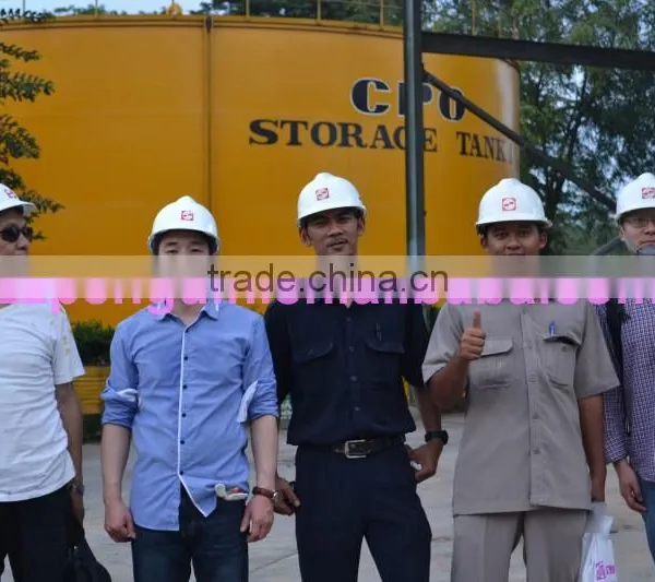 Most Popular Bottom Price in Africa 40TPH Palm Oil Equipment photo-6