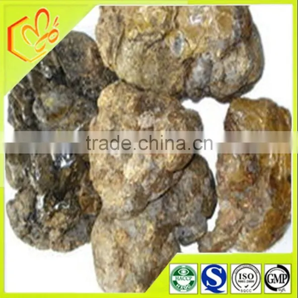 Pollution-Free 100% Pure Green Raw Propolis Wholesale photo-3