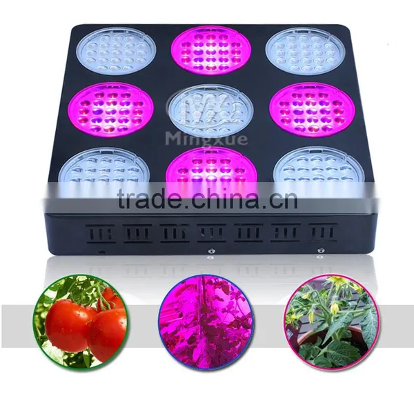 600W Spectrum Slective Led Grow Light,Led Grow Light 600W photo-5