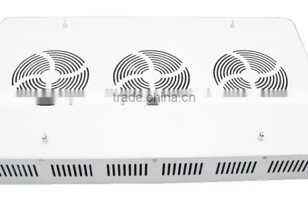 300W 600W 1000W Full Spectrum LED Grow Light for Veg and Flowering photo-3