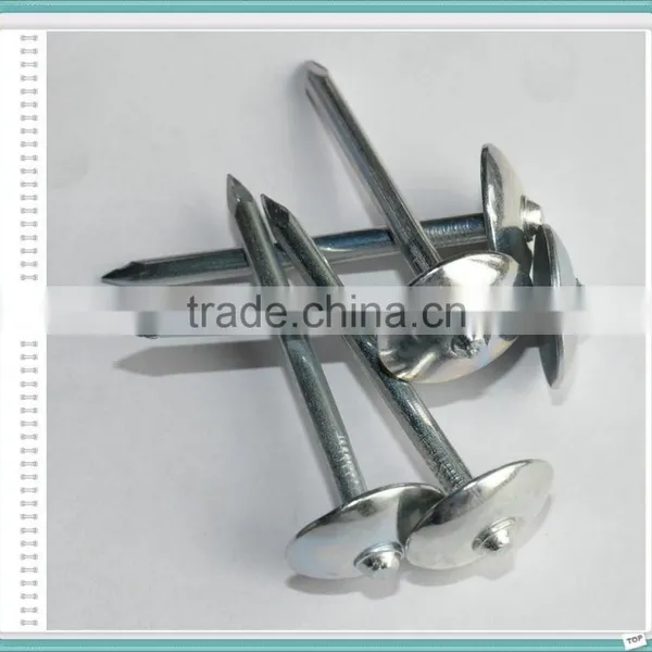 E.G. Umbrella Head Roofing Nails With Low Price From China photo-5