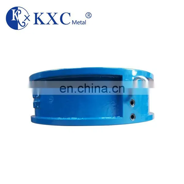 PN16 DN50 DN400 Oem Water Meter Check Valve photo-4