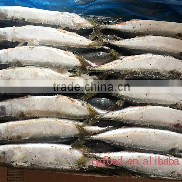 Frozen Mackerel Fish Whole Round photo-3