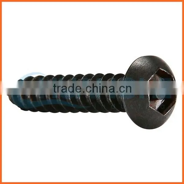 China Supplier Galvanized Anti-theft Screw photo-4