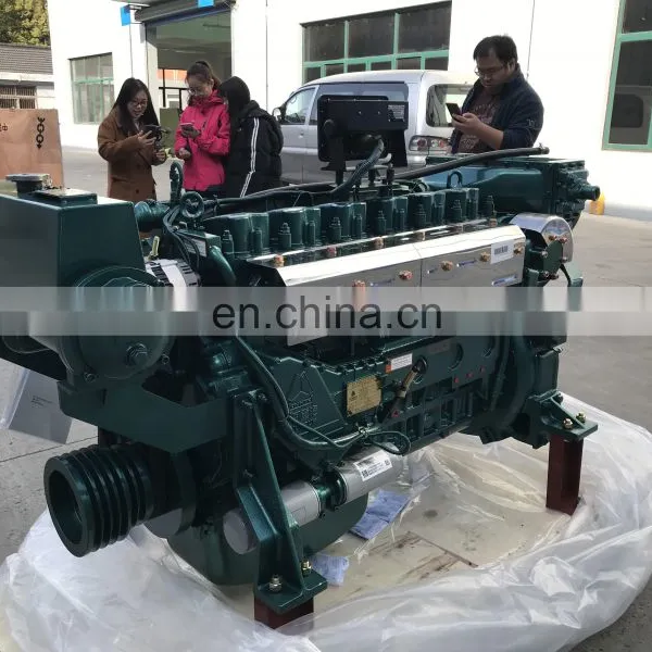 Hot Sale Brand New Sinotruk WD615.61 C Marine Diesel Engine WD615.61C01N photo-5
