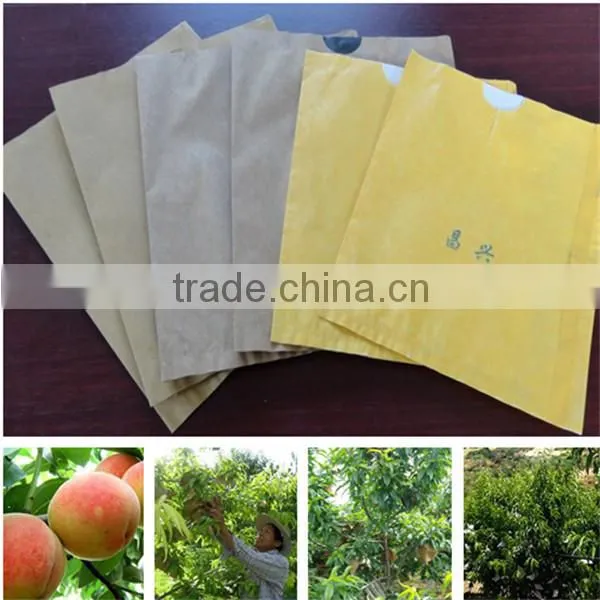 Paper Material Fruit Paper Bag