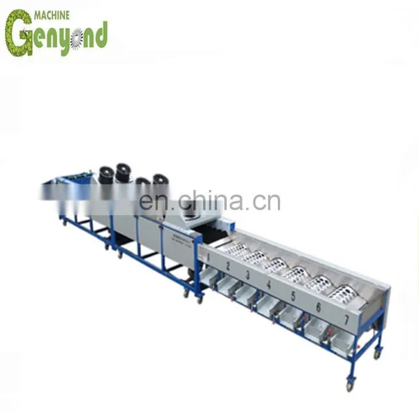 Potato Washing/drying/sorting/grading Machine photo-2