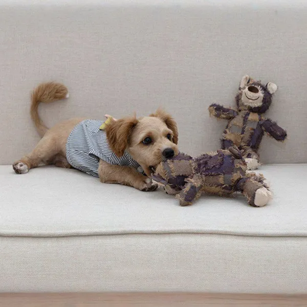 Teddy Bear photo-2