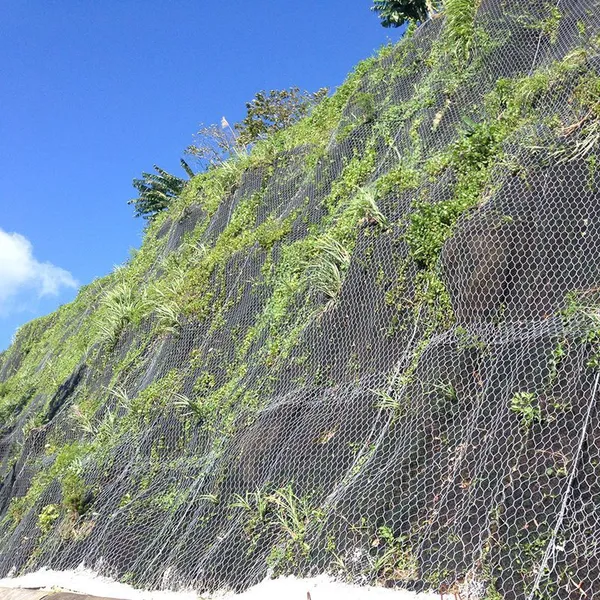 Reinforced Hexagonal Wire Mesh for Rockfall and Slope Protection Systems photo-6