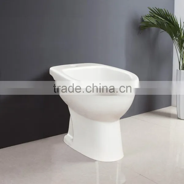 Sanitary Ware Ceramic Toilet Combined Electric Bidet White Bidet