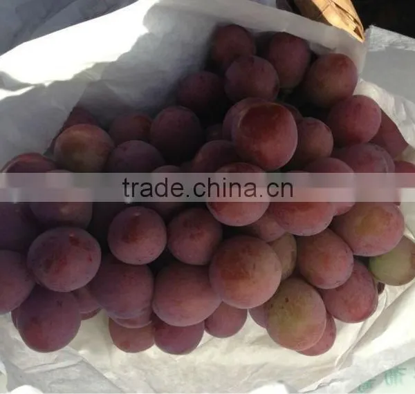 Best Red Global Grape/Yunnan Red Grape/China Grape