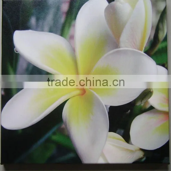 Spa Products Stretched Canvas