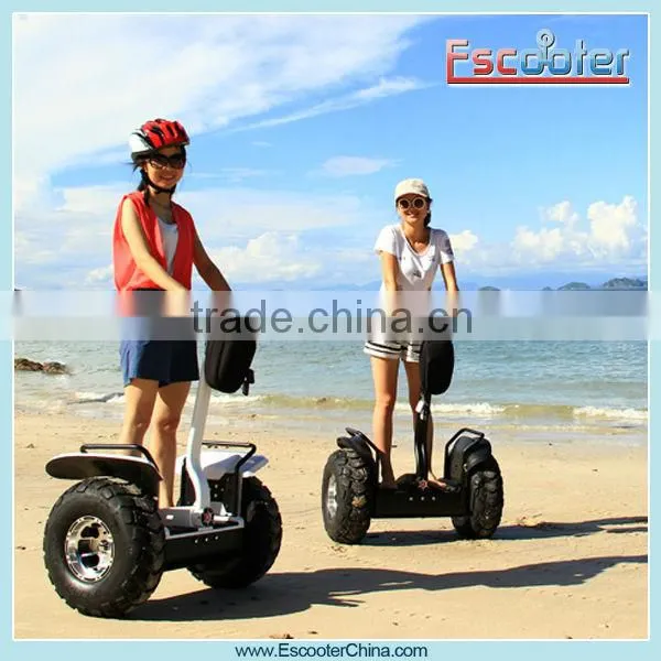Two Wheel Stand up Scooter/Two Wheel Self Balancing Electric Scooter