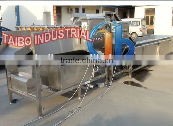 Automatic Fruits and Vegetables Washing Machine for Washing Apples/ Berry Cleaning
