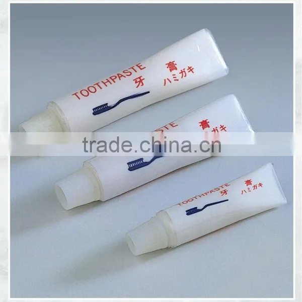 Travel Dental Kit