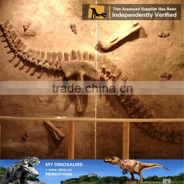 MY Dino-C096 Artificial Realistic Dinosaur Fossil Specimen photo-2