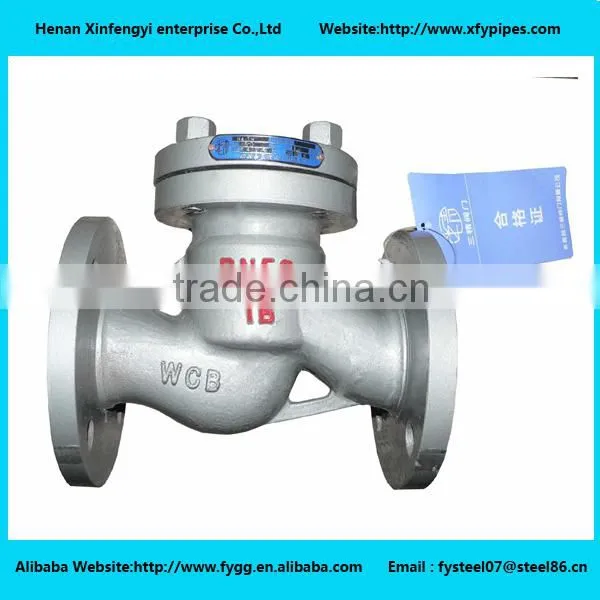 Check Valve Pipe Fittings, Various Steel Valve photo-5