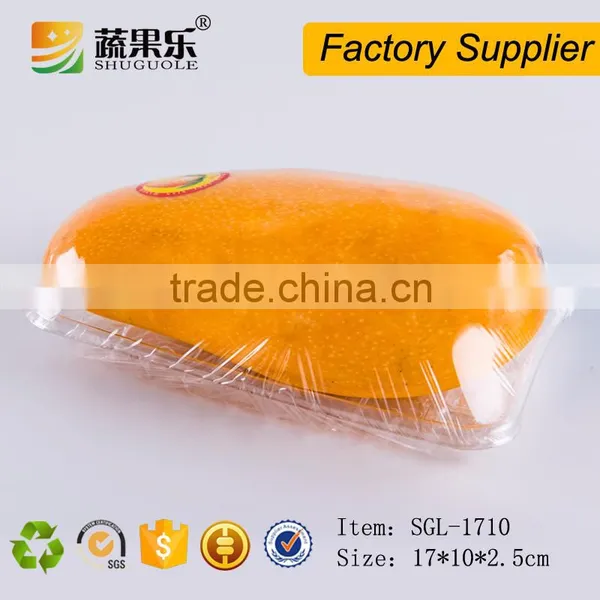 Clear Disposable Cheap Packaging PET Plastic Food Fruit Tray photo-2