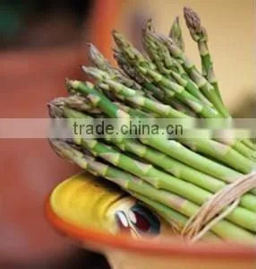 Choice Quality / Canned Whole Green Asparagus Spears in Glass Jars 370ml photo-6