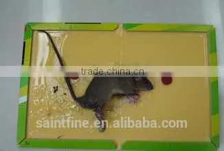 Best Selling Quality Factory Direct Supply Mouse Glue Trap photo-4