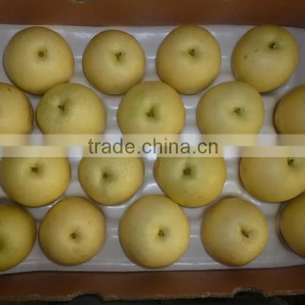 PEAR photo-4