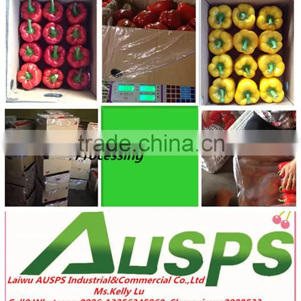 Fresh Bell Pepper Yellow Capsicum photo-3