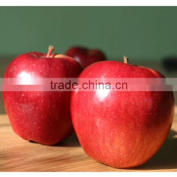2016 New Crop New Season Huaniu Apple Fresh Apple China Gansu Tianshui Huaniu Apple