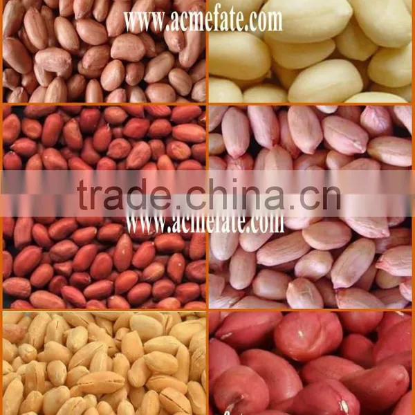 Shandong Big Size Blanched Red Skin Peanut Kernels photo-3