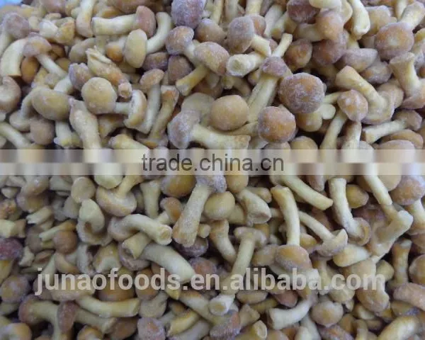 Grade A Chinese Nameko Mushroom Spawn for Sale photo-3