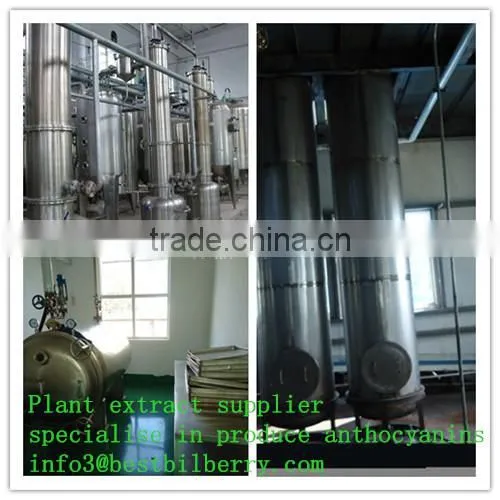 Tumeric Extract Tumeric P.e Powder photo-2