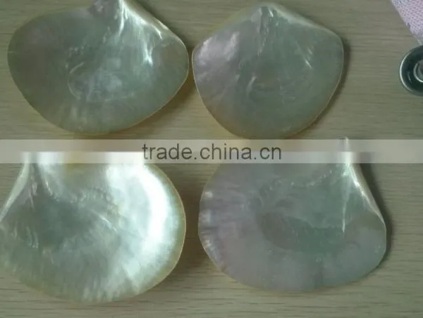 Polished Whitelip Mother of Pearl Shell Inlay photo-2
