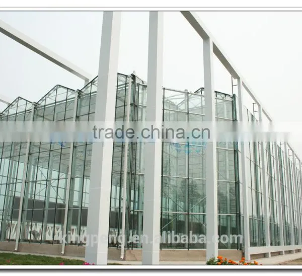 Flat Clear Tempered Transparent Glass Greenhouses for Agriculture (ISO9001:2000) photo-4