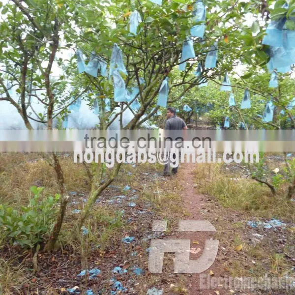Fogging Machine for Pest Control photo-4