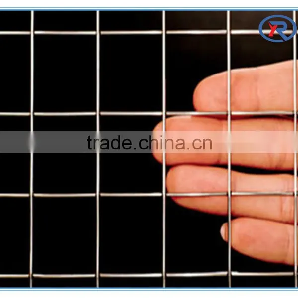 Galv. Square Welded Wire Netting/wire Mesh Fence photo-4