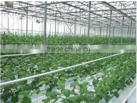 China Direct Selling Beautiful High Quality Venlo Greenhouse Can be Used to Planting Grows photo-2