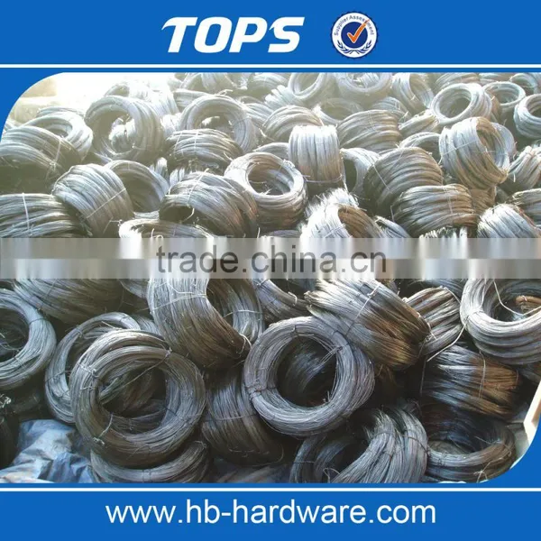 Chinese Supplier Selling Electro Galvanized Iron Wire Price photo-5