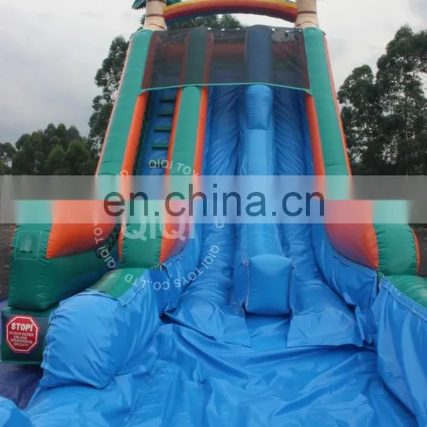 Inflatable Outdoor Inflatable Water Slide From China photo-2
