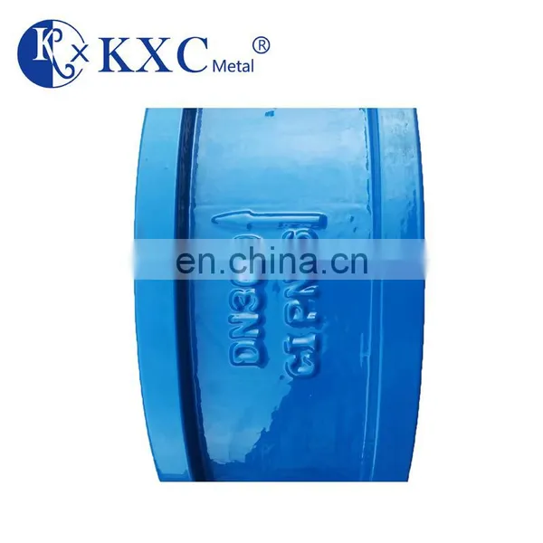 PN16 DN50 DN400 Oem Water Meter Check Valve photo-5