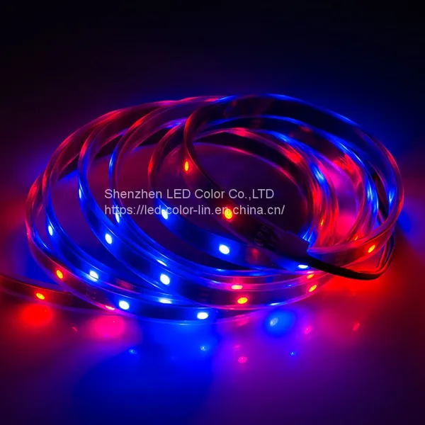 Chinese Manufacturer UCS1903 LC8806 LED Strip Light photo-2