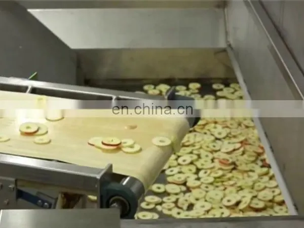 Fruit and Vegetable Medicine Freezer Dryer photo-5