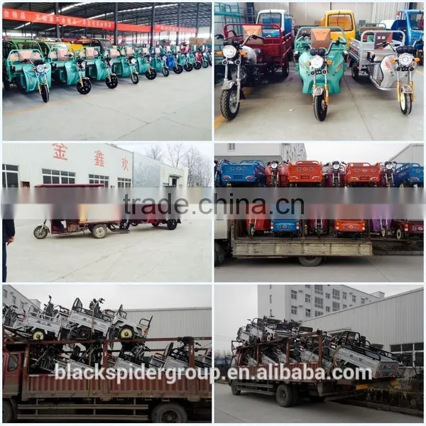 Long Miles Motorcycle Tricycle for Cargo photo-6