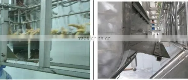 Poultry Feet Unloader photo-2