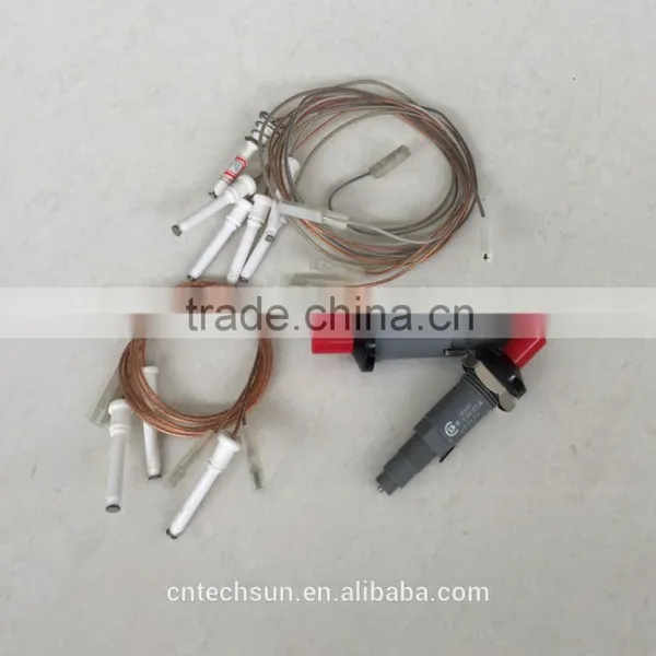 Gas Ignitor