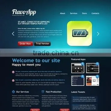 Offshore Software Development Services photo-3