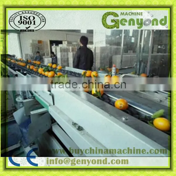 automatically feeding double line fruits grading machine made in China