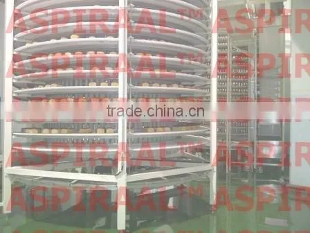 Spiral Conveyor System